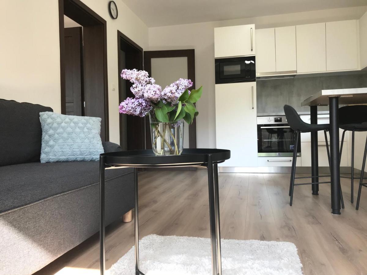 Apartman Na Kopci Krucemburk 外观 照片