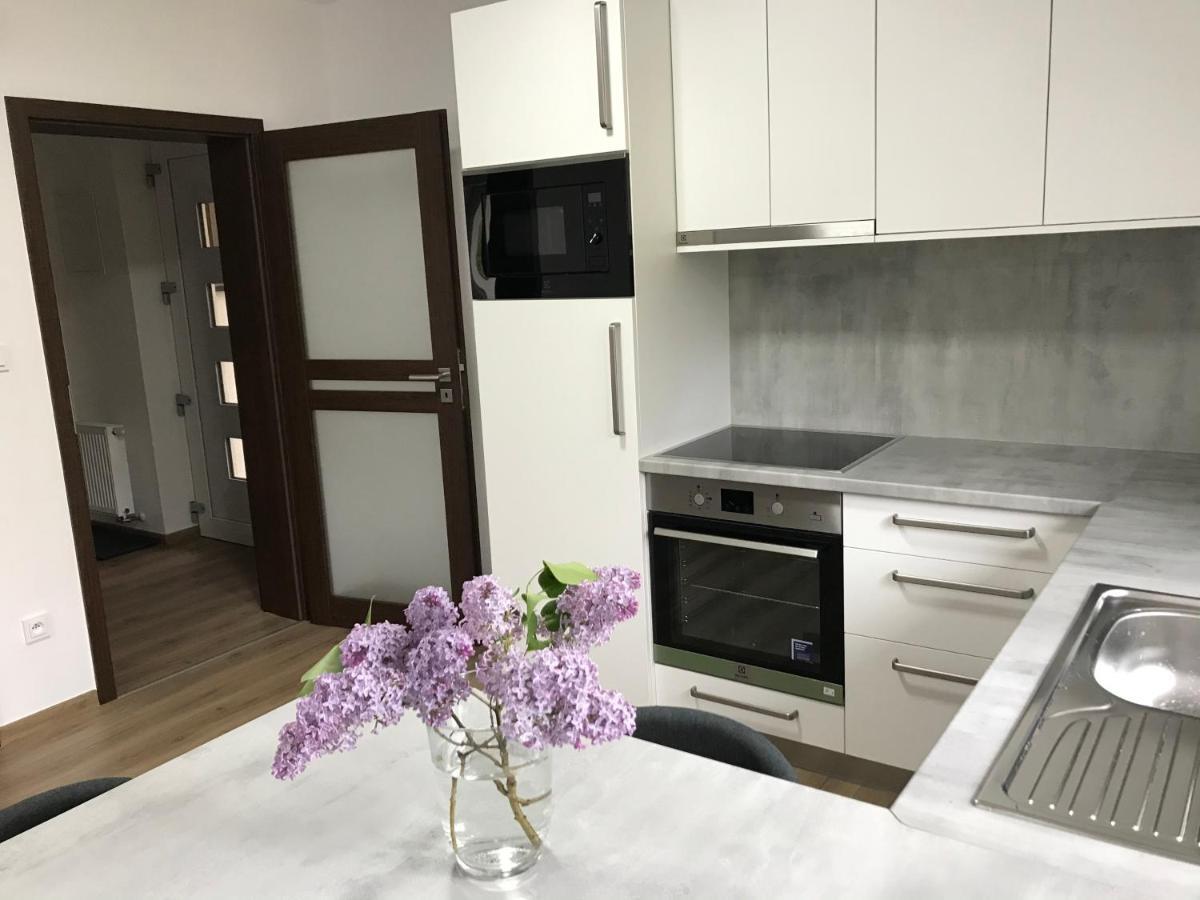 Apartman Na Kopci Krucemburk 外观 照片