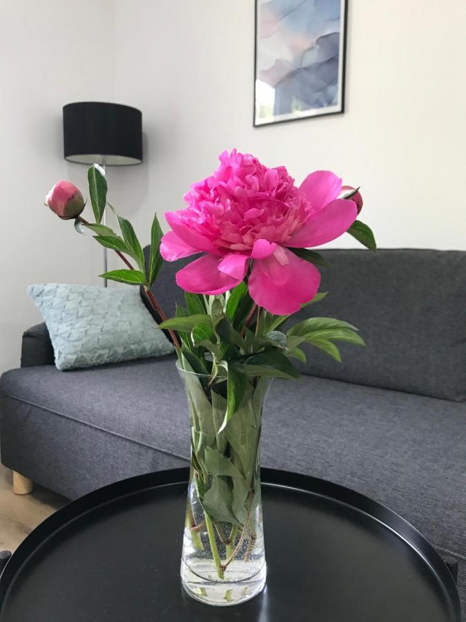 Apartman Na Kopci Krucemburk 外观 照片