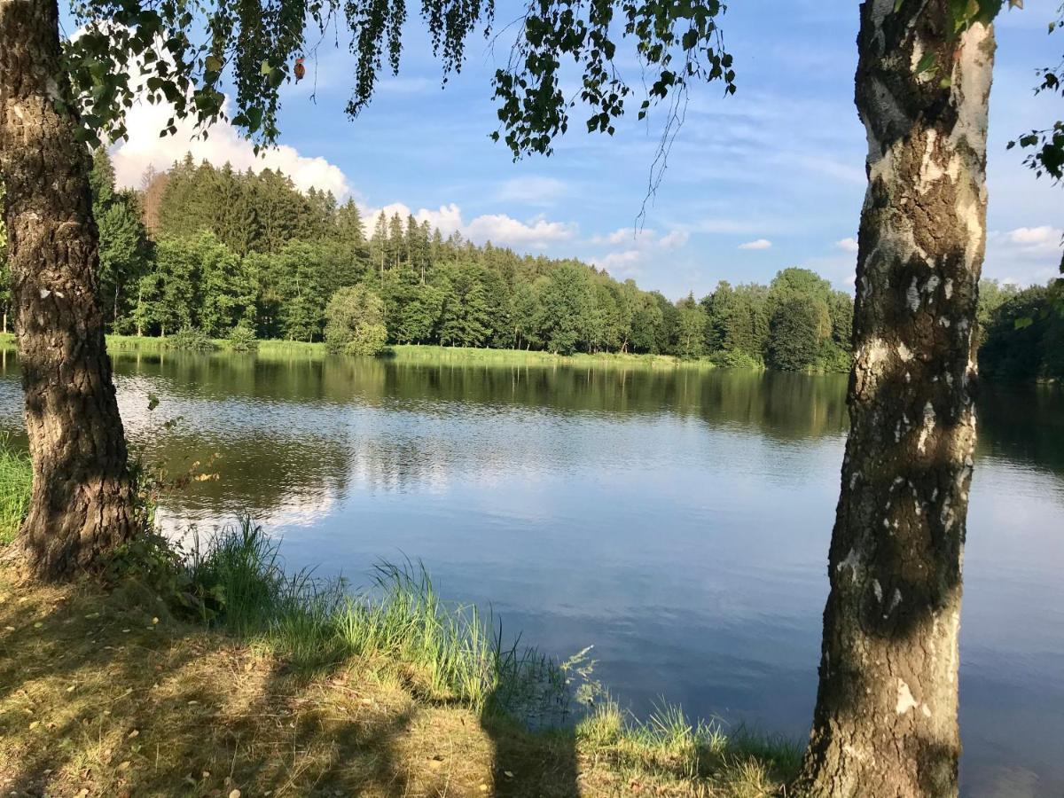 Apartman Na Kopci Krucemburk 外观 照片